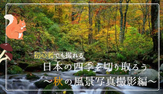 【初心者でも撮れる】日本の四季を切り取ろう　～秋の風景写真撮影編～